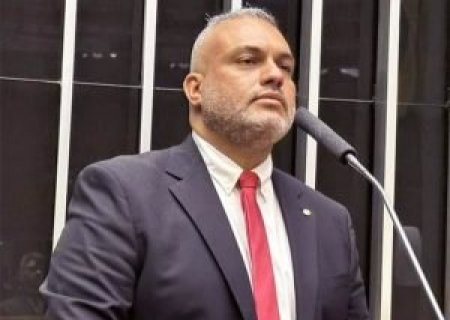 Projeto prevê incentivo fiscal para doações destinadas à causa animal