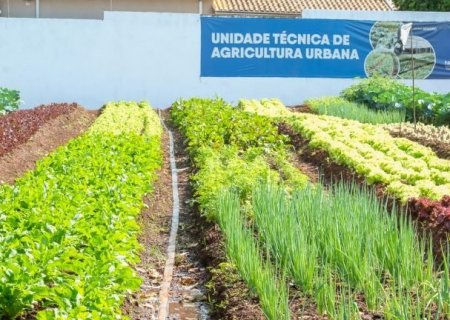 Hortifrutis doados pela Ceasa em MS matam a fome e viram adubo para a comunidade