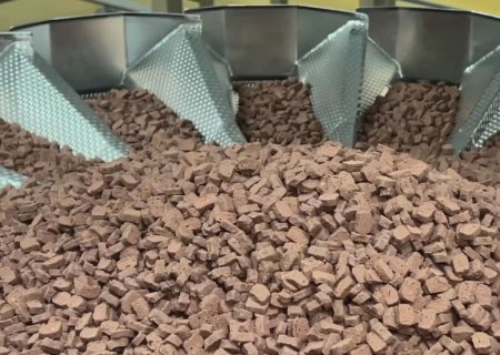 Escolher a ração ideal para o cachorro pode prevenir e tratar doenças